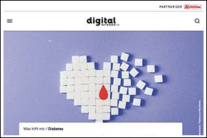 Screenshot „Diabetes“ (PDF)