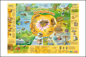 Bienenposter, April 2023 (PDF)